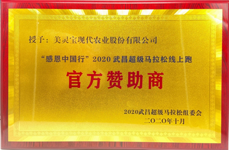 2020武昌超马官方赞助商