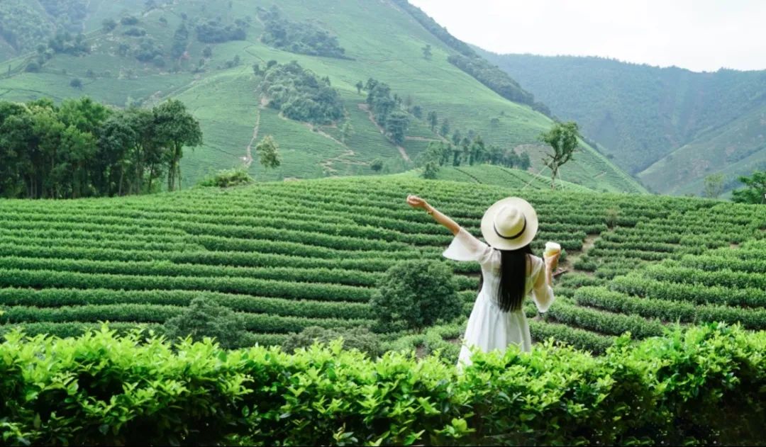 轻松出游 快乐喝茶 | 五一以茶伴旅，与自然碰个杯！