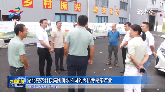 湖北楚茶科技集团有限公司到大悟考察茶产业